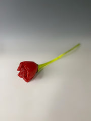 Red Rose II