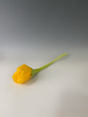 Yellow Rose I