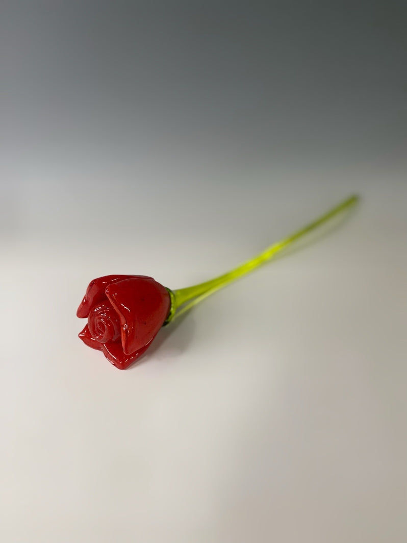 Red Rose II